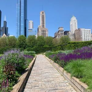 Meet your Posher, Bryce